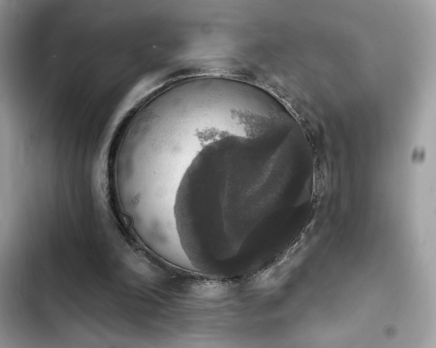 X0000103950198200809191449
