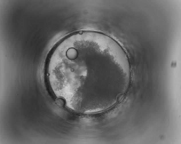X0000103950199200809191449