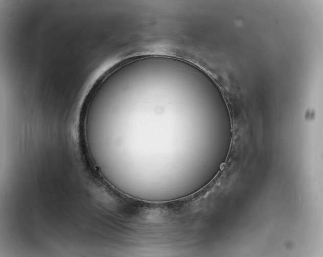 X0000103950200200809191449