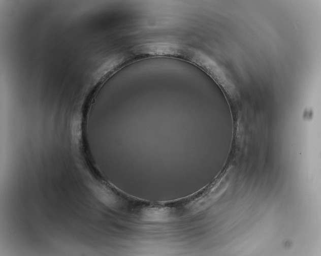X0000103950202200809191449