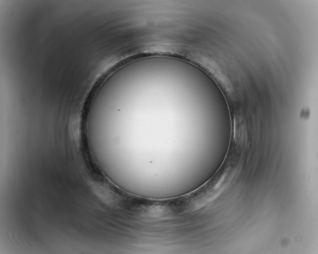 X0000103950204200809191449