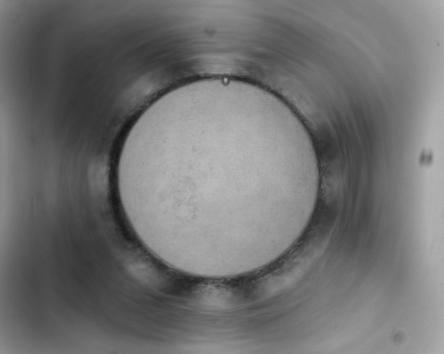 X0000103950207200809191449