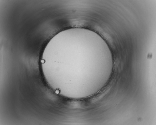 X0000103950209200809191449
