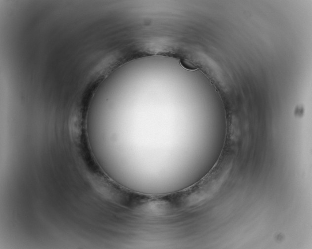 X0000103950210200809191449
