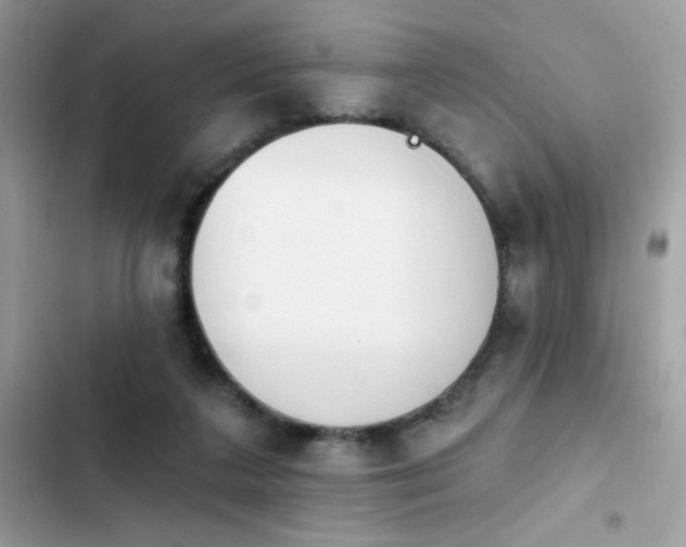 X0000103950211200809191448
