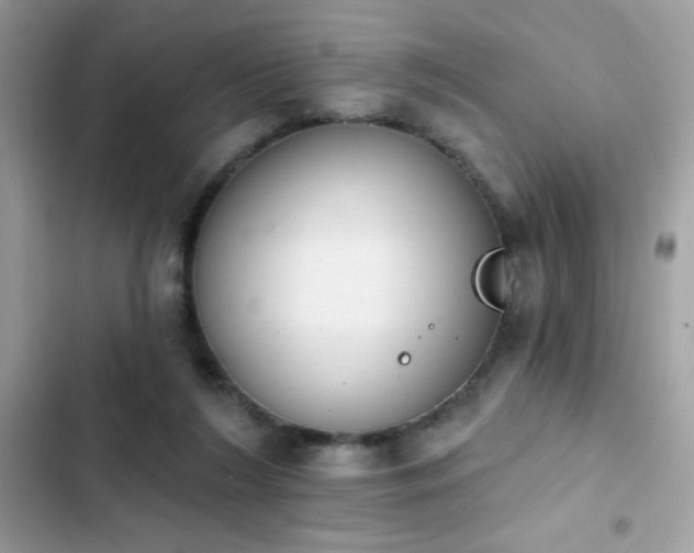 X0000103950212200809191448