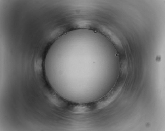 X0000103950213200809191448