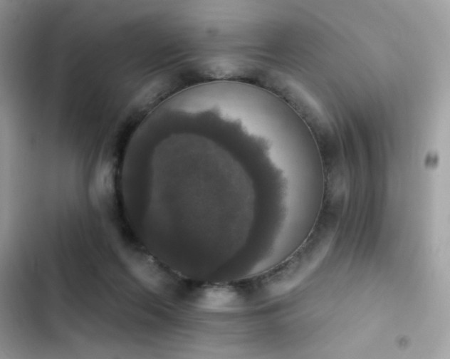 X0000103950214200809191448