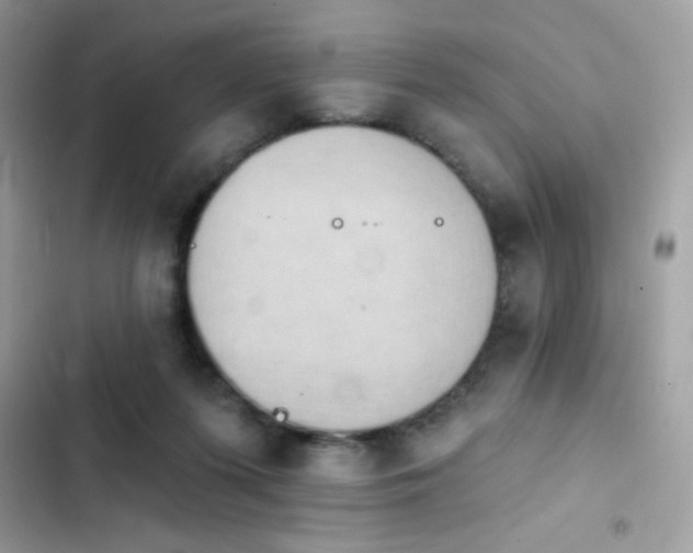 X0000103950215200809191448