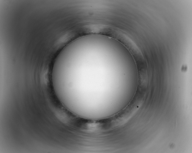 X0000103950216200809191448