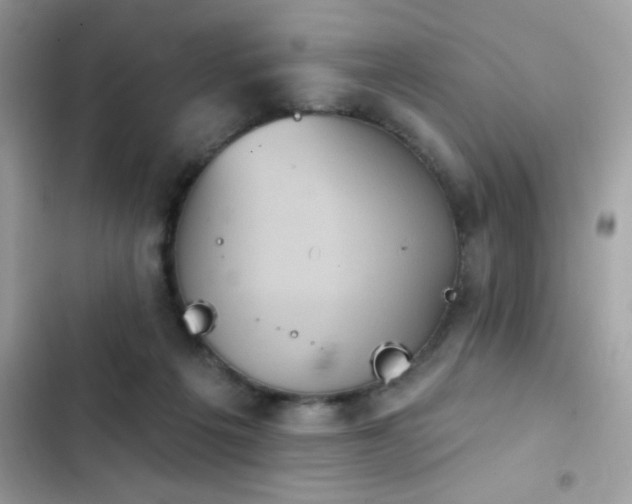 X0000103950217200809191448