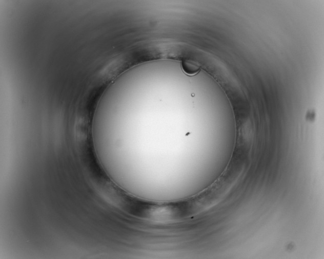 X0000103950218200809191448