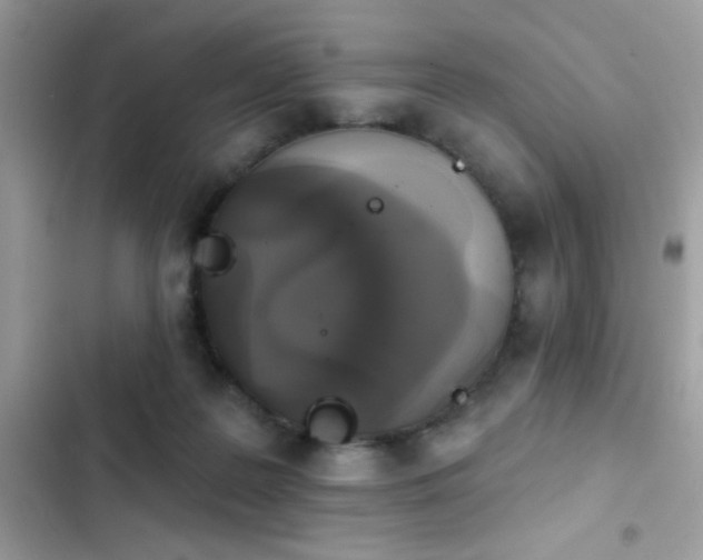 X0000103950219200809191448