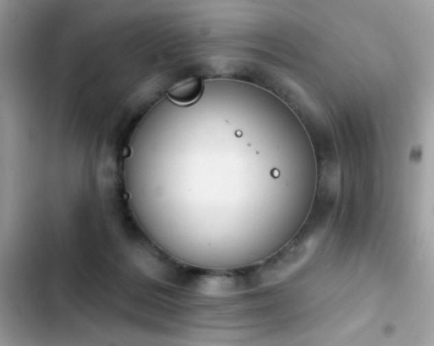 X0000103950220200809191448