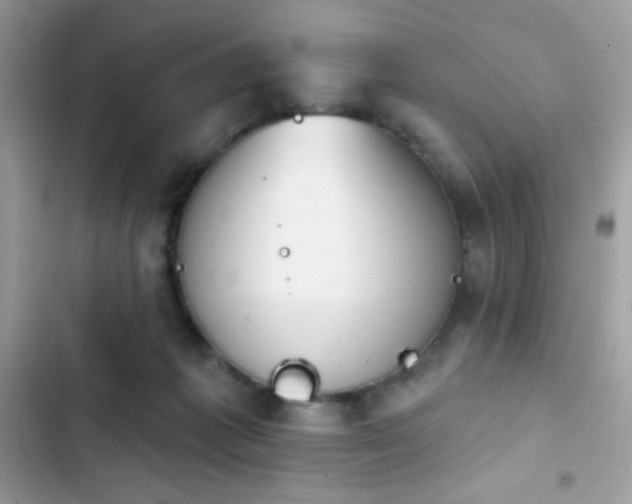X0000103950221200809191448