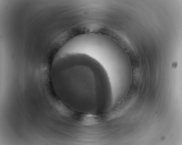 X0000103950222200809191448
