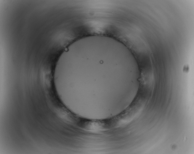 X0000103950223200809191448
