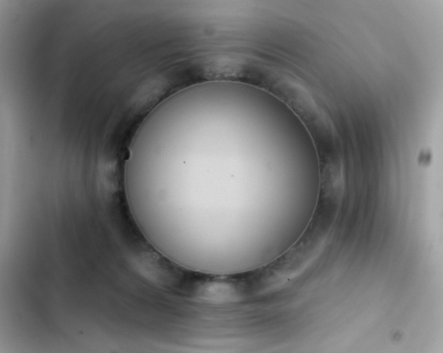X0000103950224200809191448