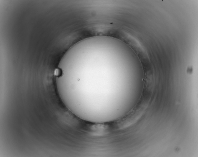 X0000103950225200809191448