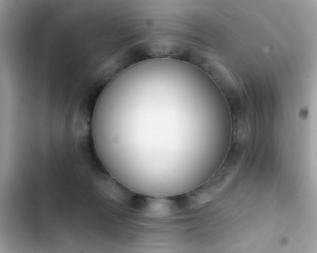 X0000103950226200809191448