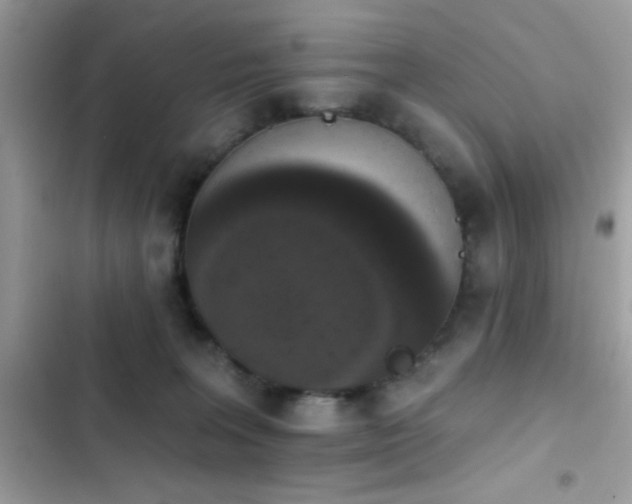 X0000103950227200809191448