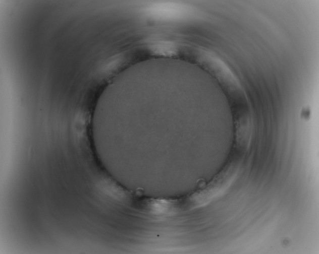 X0000103950229200809191448