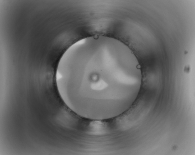 X0000103950231200809191448