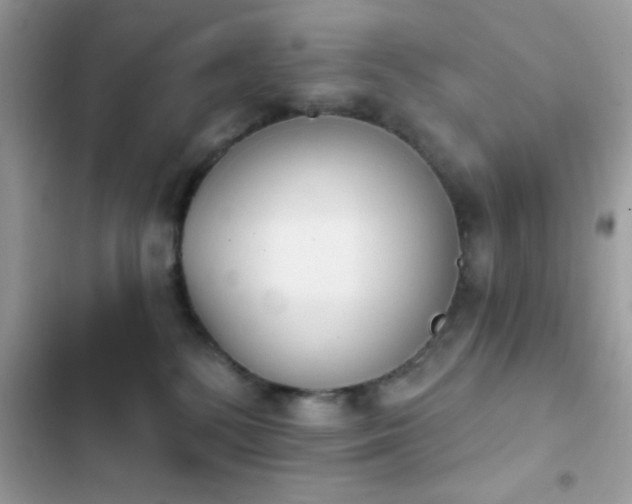 X0000103950232200809191448