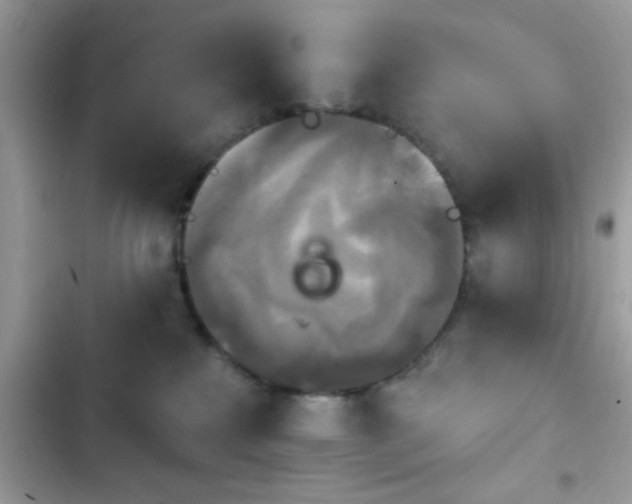 X0000103950233200809191448