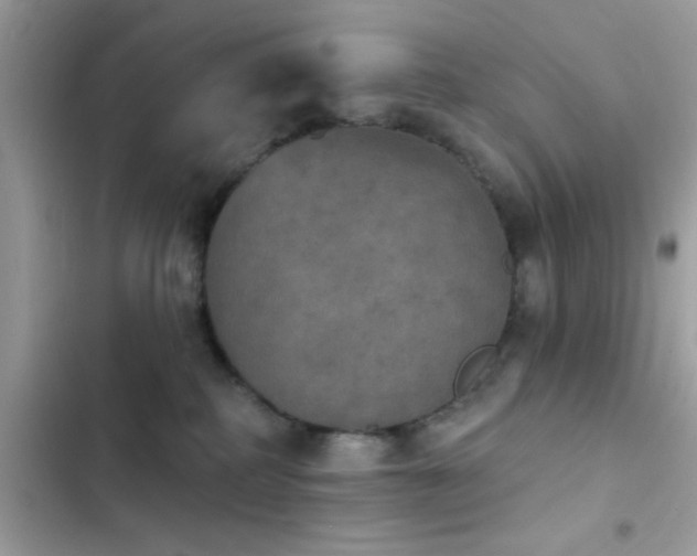 X0000103950234200809191448