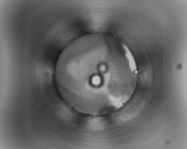 X0000103950235200809191448