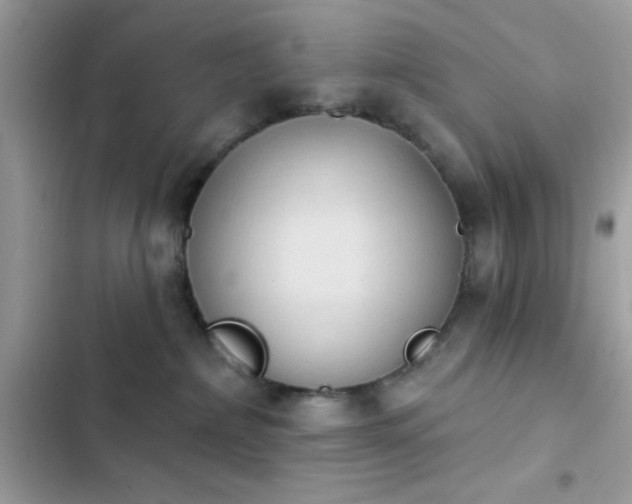 X0000103950236200809191448