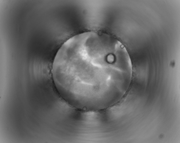 X0000103950237200809191448