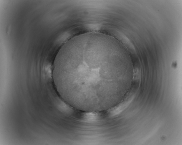 X0000103950238200809191448