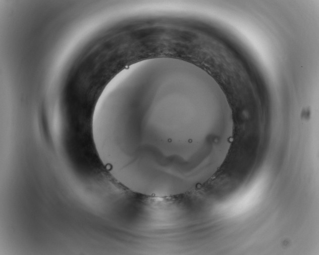 X0000103950239200809191448