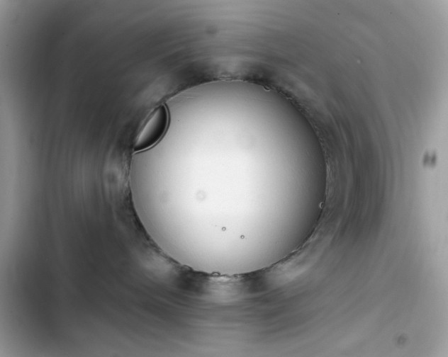 X0000103950240200809191448