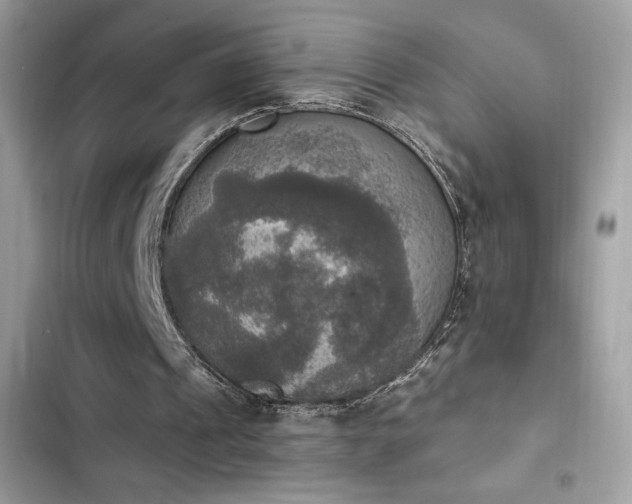 X0000103950241200809191447