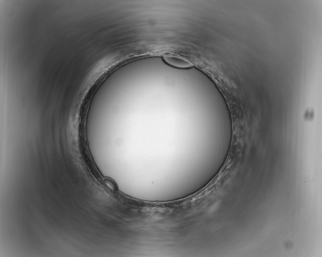 X0000103950242200809191447