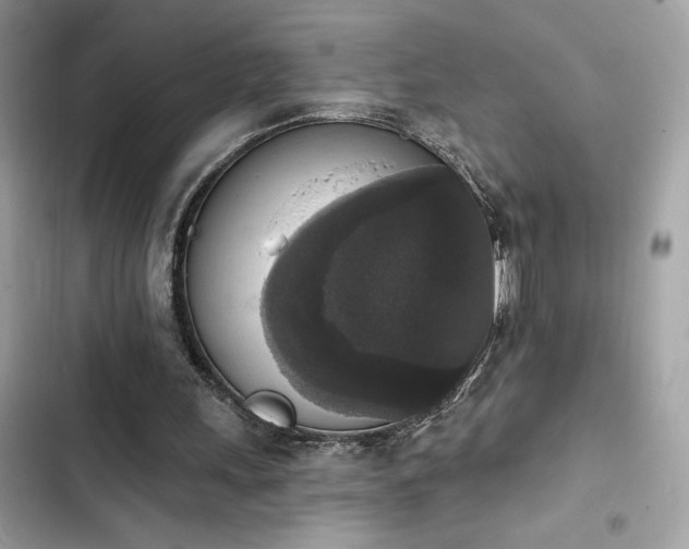X0000103950243200809191447