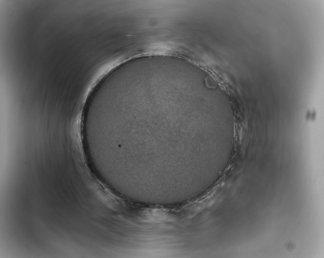 X0000103950244200809191447