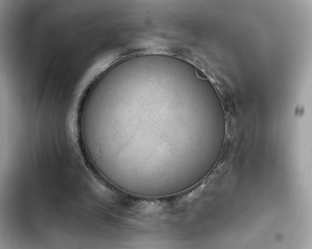 X0000103950245200809191447