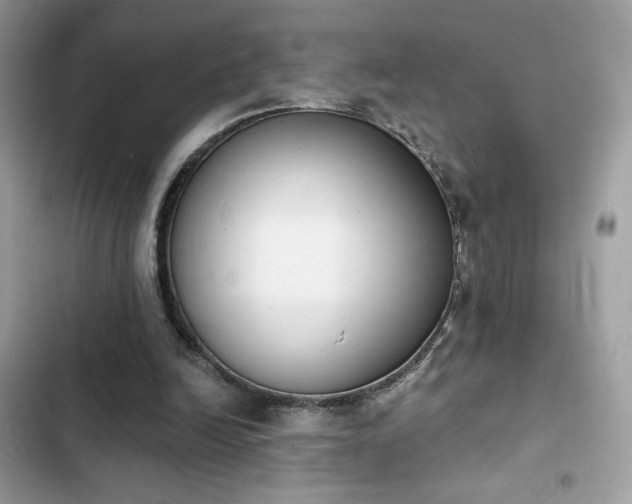 X0000103950246200809191447