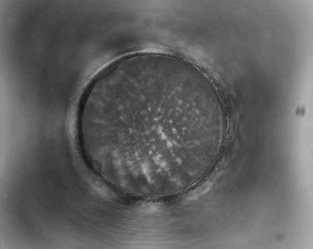 X0000103950247200809191448