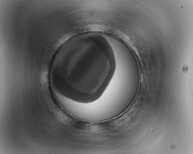 X0000103950249200809191448
