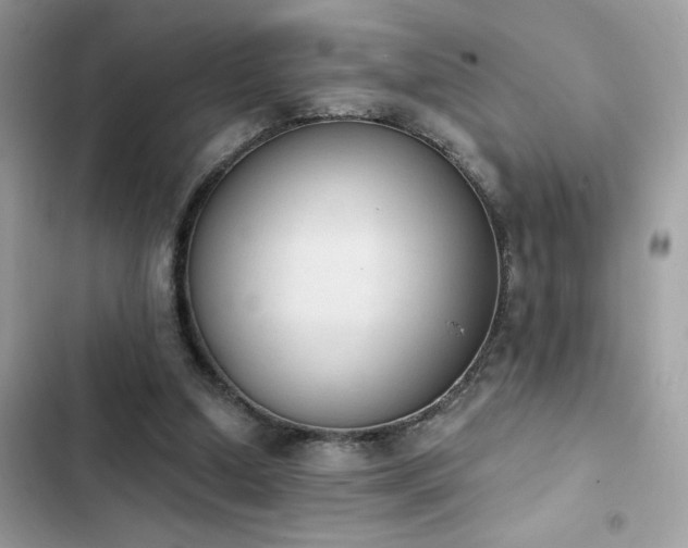 X0000103950250200809191448