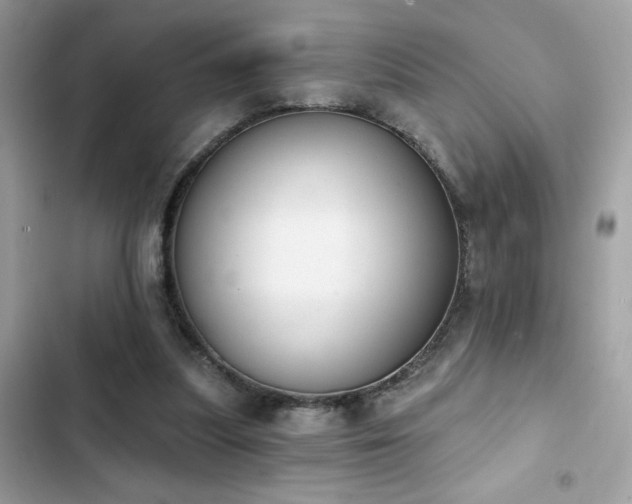 X0000103950251200809191448