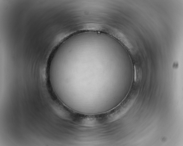 X0000103950252200809191448