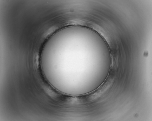 X0000103950253200809191448