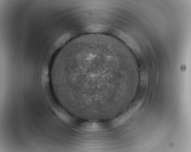 X0000103950254200809191448