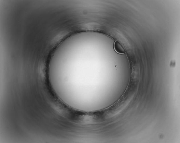 X0000103950255200809191448